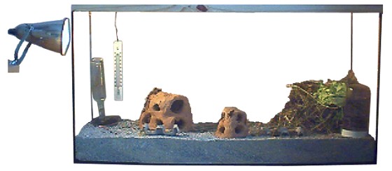 vivarium